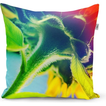 Sablio Vankúš Dúhový kvet - 60x60