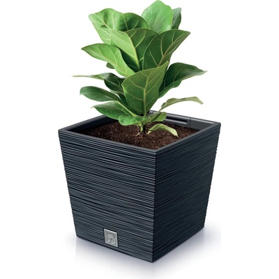 Prosperplast kvetináč Furu Square Low Antracit 30 cm