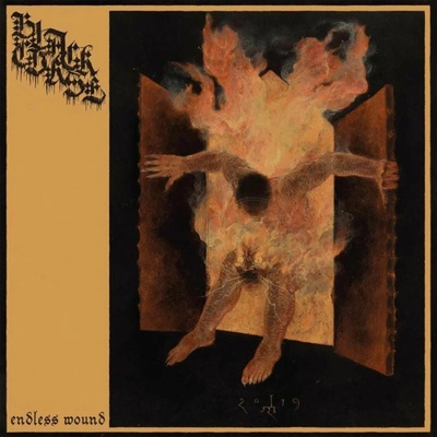 Endless wound Black Curse CD
