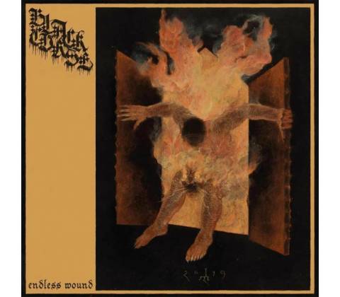Endless wound Black Curse CD