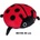 SUN-DAY Mascot Ladybug 40cm 162724 Sunday