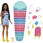 Mattel HDF74 Barbie Кукла Camping Brooklyn Doll (HDF72)