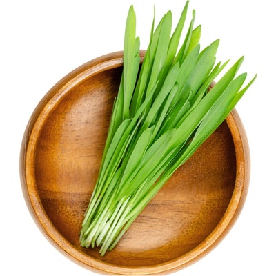 Velikonoční osení - ječmen jarní - 250 g