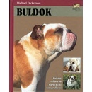 Buldok