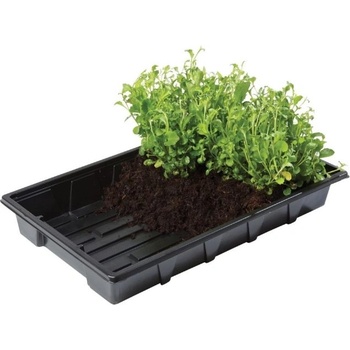 Garland Professional Gravel tray - тава за вкореняване и разсад, 37 x 23.5 х 6 см (без дупки) (61120202)