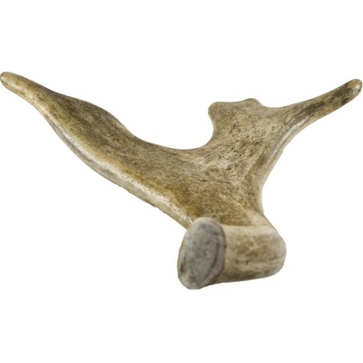 Dancí paroh gigant 180-230 g