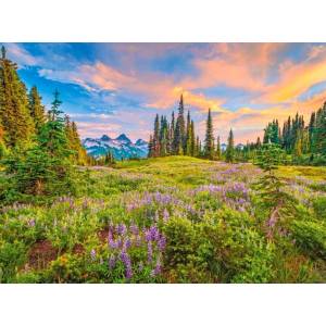 Castorland - Puzzle Blossom of Morning - 2 000 piese