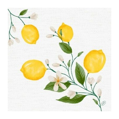 BioDunisoft Ubrousek LEMON FIESTA 60 ks 40x40cm