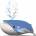 dodoland Pletwal Blekitny Eugys whale. Eco 3D Ukladanka
