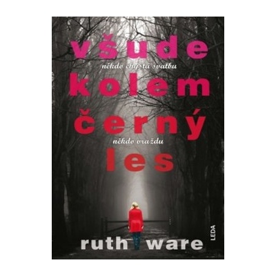 Všude kolem černý les
