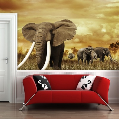 Tapeta SABLIO Slon Africký, rozměry 336x220 cm