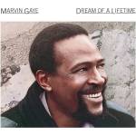 Sony Music Gaye Marvin: Dream of a Lifetime - CD (039768)