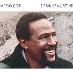 Sony Music Gaye Marvin: Dream of a Lifetime - CD (039768)