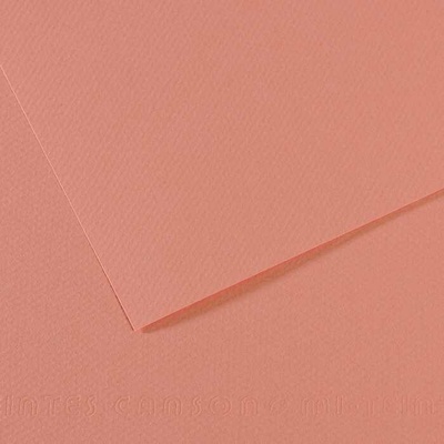 Canson Tónovaný papier Mi-Teintes 50 x 65 cm 160 g/m²Orchideová 352