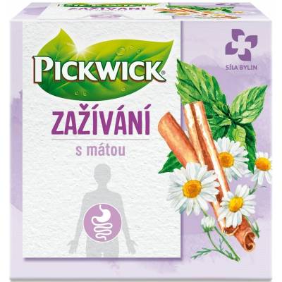 PICKWICK Čaj zažívania 20 g