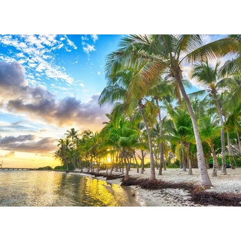 Image 1 of Bluebird Puzzle - Puzzle Guadeloupe - Anse Champagne - 500 piese