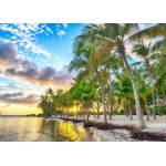 Bluebird Puzzle - Puzzle Guadeloupe - Anse Champagne - 500 piese