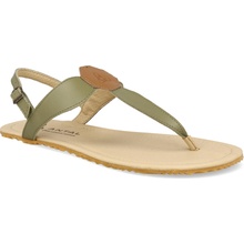 Antal Marisol Olive zelené