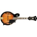 Ibanez M522S