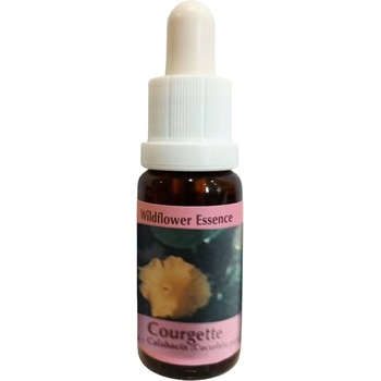 PHI Essences Есенция Тиква, капки 15 ml | PHI Essences (29 WILD)