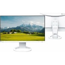 Eizo EV2490
