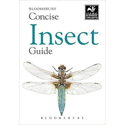 Concise Insect Guide BloomsburyPaperback / softback