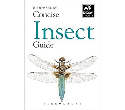 Concise Insect Guide BloomsburyPaperback / softback