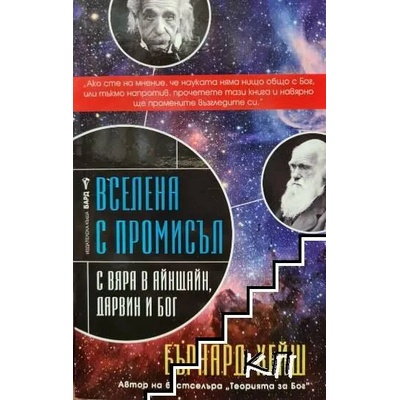 Вселена с промисъл