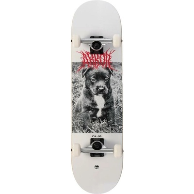 Arbor Street Revert Puppy