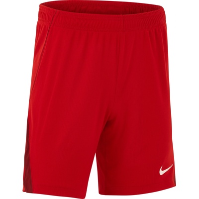 Nike Dri-FIT Turkey Stadium Home/Away 2026 io8856-614 Veľkosť L