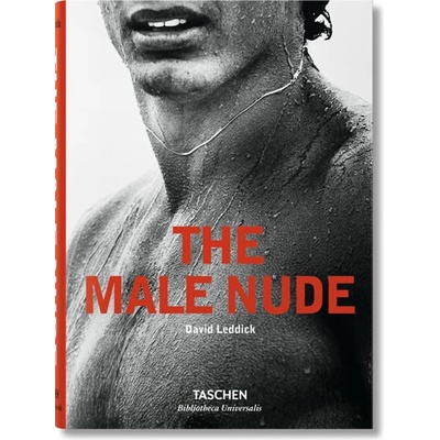 Male Nude - Leddick, David