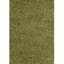 Ayyildiz Dream Shaggy 4000 Green