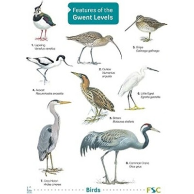 Features of the Gwent Levels - Mark Lewis, Kate Rodgers, Keith Harris, Kathy Barclay – Hledejceny.cz