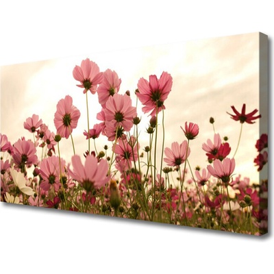 Obraz Canvas Poľné kvety lúka príroda 100x50 cm