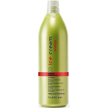 Inebrya Energy Shampoo proti vypadávaniu vlasov 1000 ml