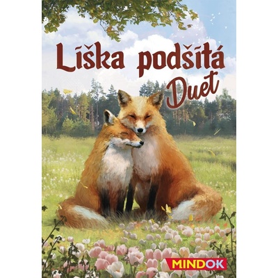 Liška podšitá: Duet kooperativní rodinná hra