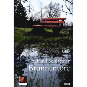 Brunnentore (ISBN: 9783863563998)
