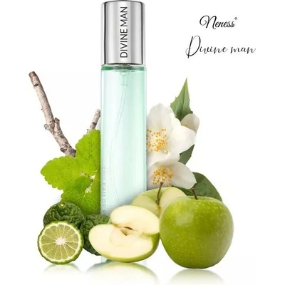 Neness Divine parfumovaná voda pánska 33 ml