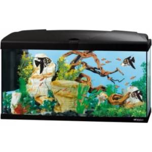 Ferplast АКВАРИУМ 100Л. capri 80 aquarium -ЧЕРЕН (65018117)