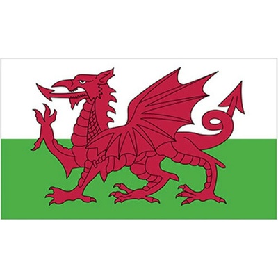 Printwear Vlajka Walesu Flagwls Wales 90 x 150 cm