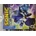Sonic Unleashed