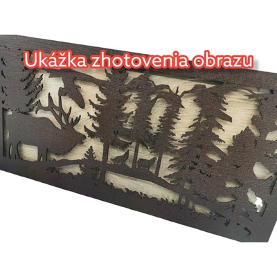 Osvetlený LED obraz na mieru