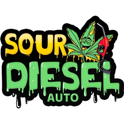 420 Fast Buds Original AUTO Sour Diesel semena neobsahují THC 3 ks