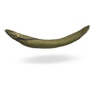 Lesovik Larva