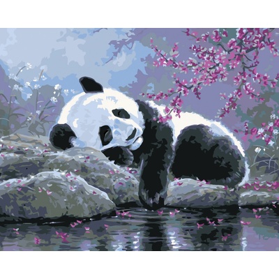 ZUTY Malování podle čísel SPÍCÍ PANDA A ROZKVETLÝ STROM ABRAHAM HUNTER 40 x 50 cm – Zbozi.Blesk.cz