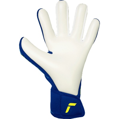 Reusch Fastgrip Advance Goalkeeper Gloves