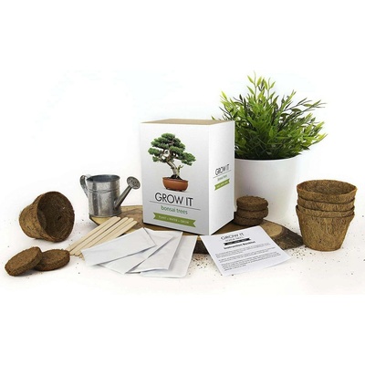 GiftRepublic Grow it Bonsai