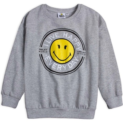 Smiley World mikina 5218139 sivý melír