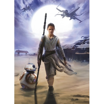 Komar 4-448 Obrazová fototapeta Star Wars Wars Rey rozměry 184x254 cm