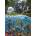 Schmidt Spiele - Puzzle Enright: Waterfall - 1 000 piese